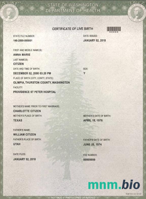 USA Washington state narodziny certyfikat szablon w formacie PSD